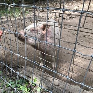 Meet your Posher, Terri